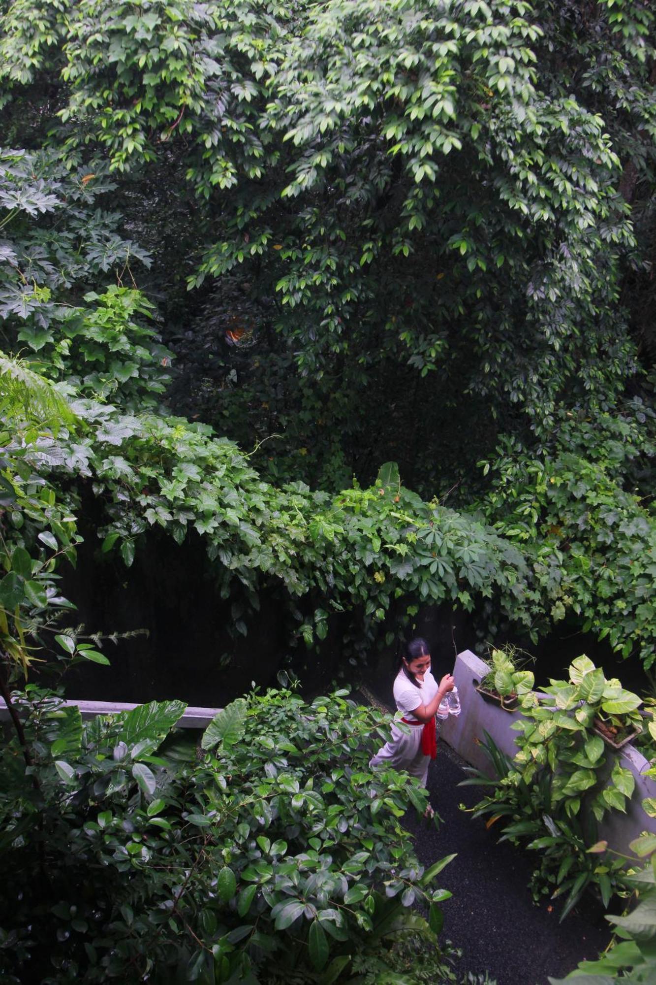 Sari Gong Guest House, A Trishula Collection Ubud Buitenkant foto