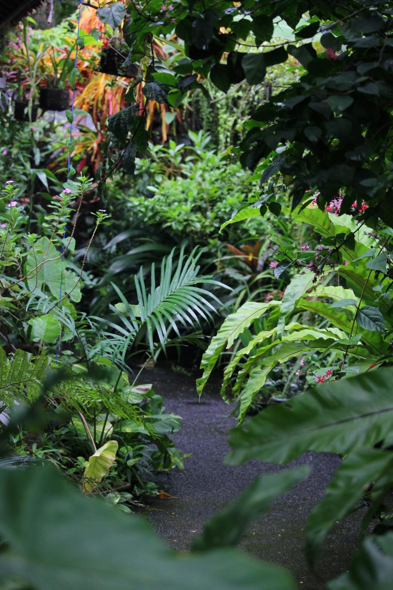 Sari Gong Guest House, A Trishula Collection Ubud Buitenkant foto
