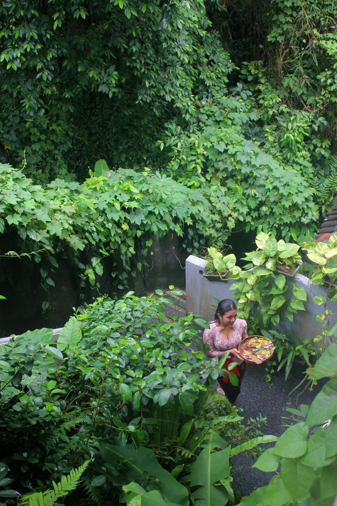 Sari Gong Guest House, A Trishula Collection Ubud Buitenkant foto