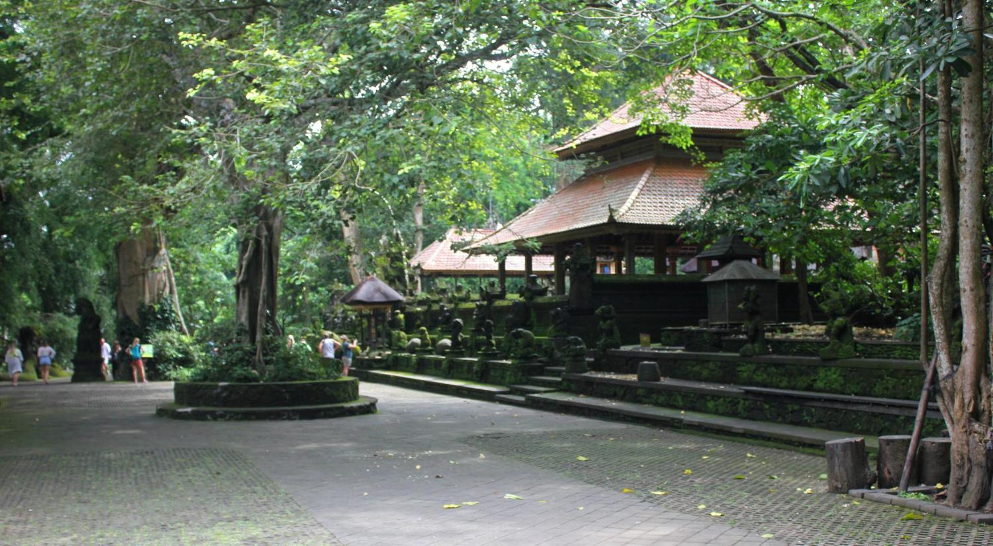 Sari Gong Guest House, A Trishula Collection Ubud Buitenkant foto