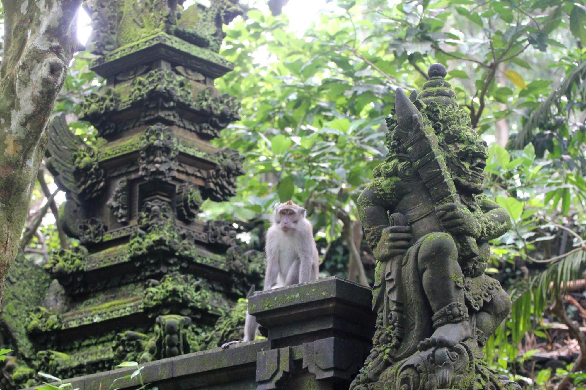 Sari Gong Guest House, A Trishula Collection Ubud Buitenkant foto